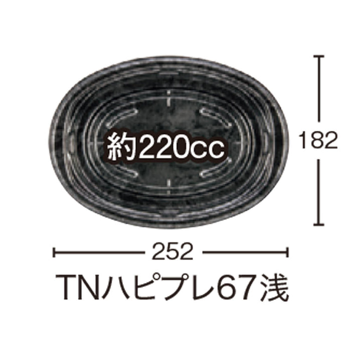 【小ロット対応商品】TNハピプレ67浅 ペトラ茶本体[50入]