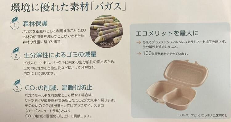 テイクアウト SBT-8oz・12oz・16oz パルプモールドスープカップ[ケース1000枚入] セイバート　使い捨て　バガス　紙製ランチボックス デリバリー 配達 アウトドア イベント 電子レンジ対応 耐油 カフェ エコ　環境配慮 バガスモールド パルプモールド